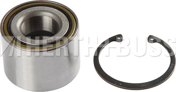 Fag Wheel Bearing 628863330